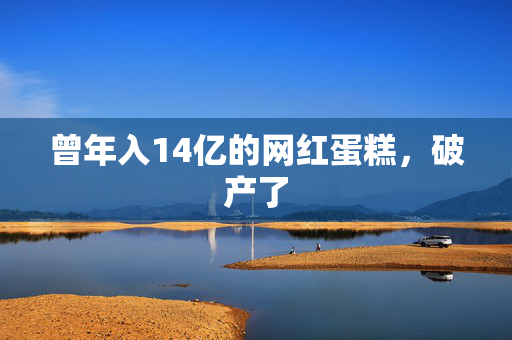 曾年入14亿的网红蛋糕，破产了