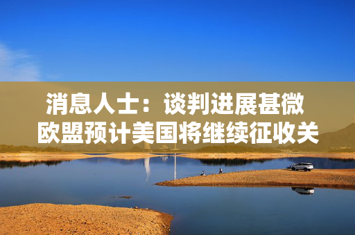 消息人士：谈判进展甚微 欧盟预计美国将继续征收关税