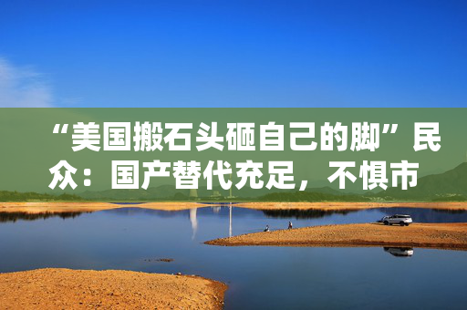 “美国搬石头砸自己的脚”民众：国产替代充足，不惧市场变化