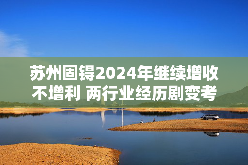 苏州固锝2024年继续增收不增利 两行业经历剧变考验接班人能力