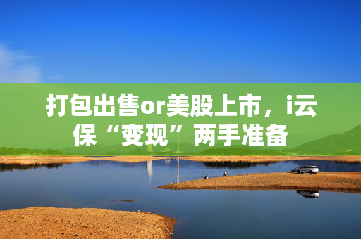 打包出售or美股上市，i云保“变现”两手准备