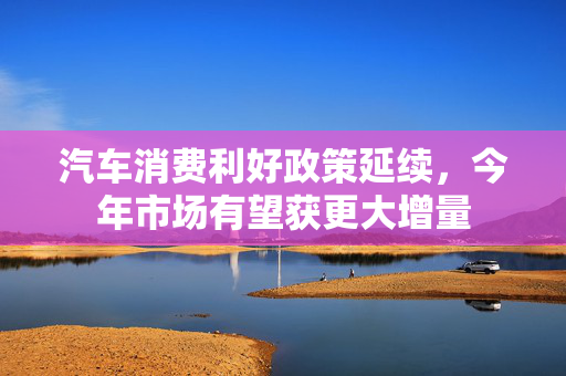 汽车消费利好政策延续，今年市场有望获更大增量