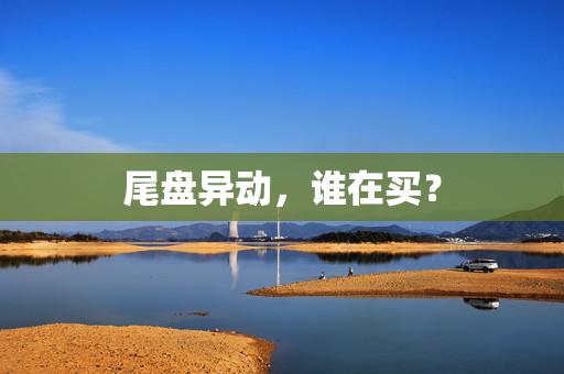 尾盘异动，谁在买？