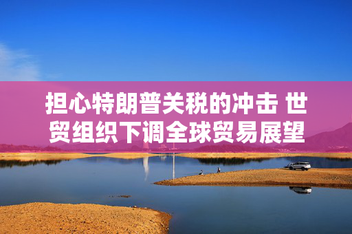 担心特朗普关税的冲击 世贸组织下调全球贸易展望