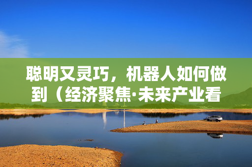 聪明又灵巧，机器人如何做到（经济聚焦·未来产业看未来）