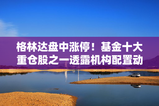 格林达盘中涨停！基金十大重仓股之一透露机构配置动向
