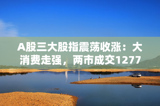 A股三大股指震荡收涨：大消费走强，两市成交12775亿元