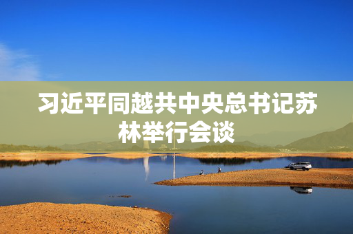 习近平同越共中央总书记苏林举行会谈