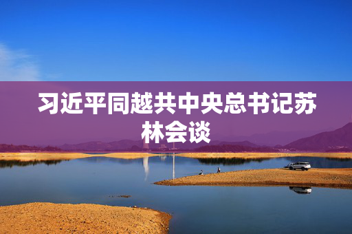 习近平同越共中央总书记苏林会谈