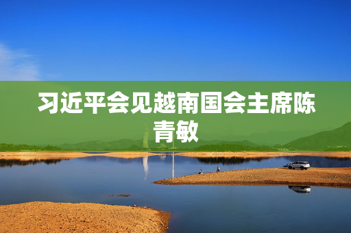 习近平会见越南国会主席陈青敏