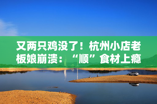 又两只鸡没了！杭州小店老板娘崩溃：“顺”食材上瘾的这位阿姨，求求了