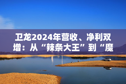 卫龙2024年营收、净利双增：从“辣条大王”到“魔芋巨头”的战略转型与增长密码