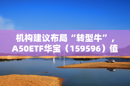 机构建议布局“转型牛”，A50ETF华宝（159596）值得关注