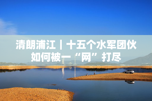 清朗浦江｜十五个水军团伙如何被一“网”打尽