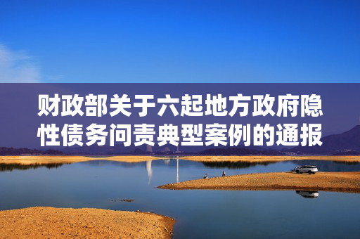 财政部关于六起地方政府隐性债务问责典型案例的通报