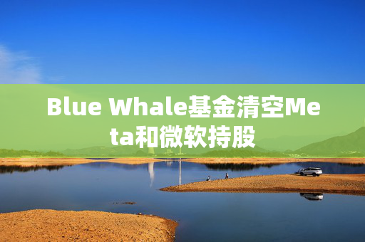 Blue Whale基金清空Meta和微软持股