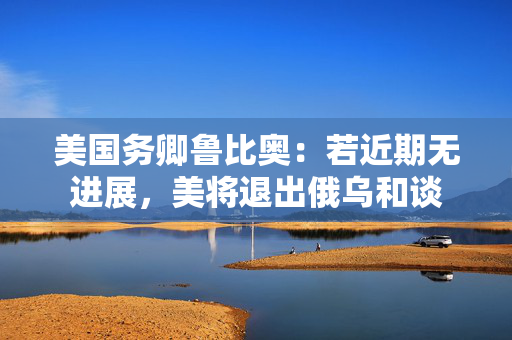 美国务卿鲁比奥：若近期无进展，美将退出俄乌和谈