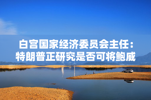 白宫国家经济委员会主任：特朗普正研究是否可将鲍威尔解职