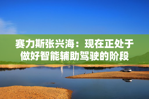 赛力斯张兴海：现在正处于做好智能辅助驾驶的阶段