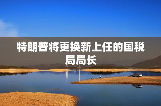 特朗普将更换新上任的国税局局长