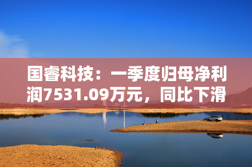 国睿科技：一季度归母净利润7531.09万元，同比下滑34.81%