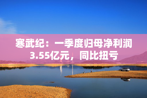 寒武纪：一季度归母净利润3.55亿元，同比扭亏