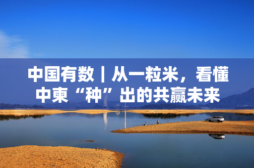 中国有数｜从一粒米，看懂中柬“种”出的共赢未来