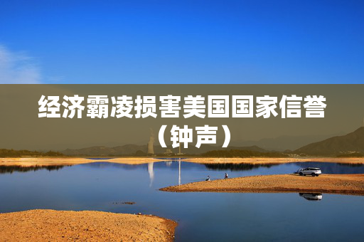 经济霸凌损害美国国家信誉（钟声）