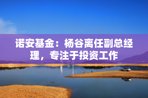 诺安基金：杨谷离任副总经理，专注于投资工作