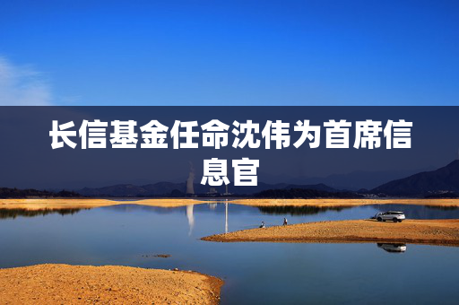 长信基金任命沈伟为首席信息官