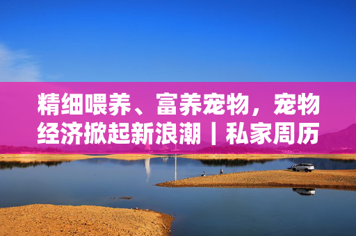 精细喂养、富养宠物，宠物经济掀起新浪潮｜私家周历