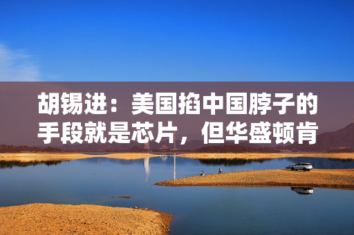 胡锡进：美国掐中国脖子的手段就是芯片，但华盛顿肯定掐不死我们