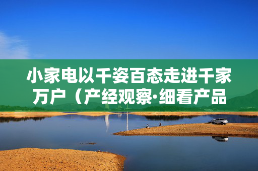 小家电以千姿百态走进千家万户（产经观察·细看产品七十二变①）