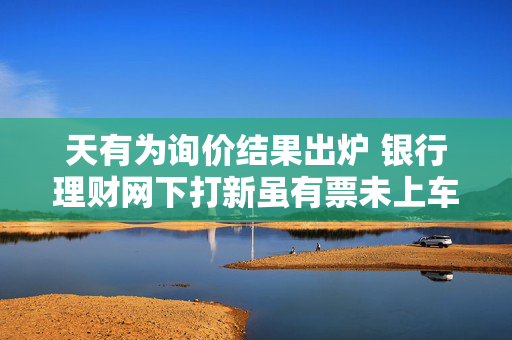 天有为询价结果出炉 银行理财网下打新虽有票未上车