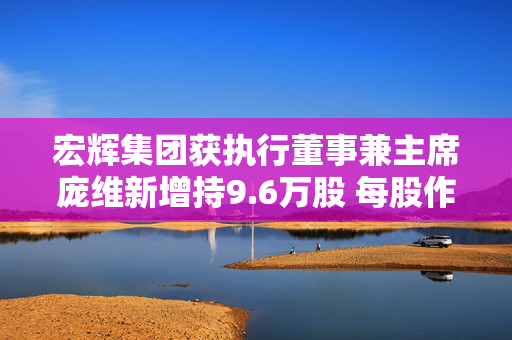 宏辉集团获执行董事兼主席庞维新增持9.6万股 每股作价0.142港元