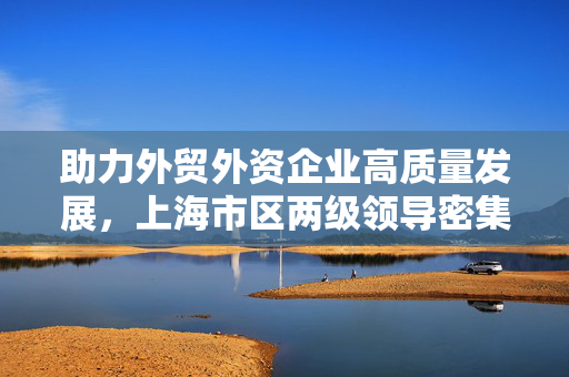 助力外贸外资企业高质量发展，上海市区两级领导密集调研、召开座谈会
