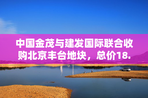 中国金茂与建发国际联合收购北京丰台地块，总价18.4亿元