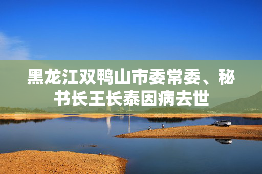 黑龙江双鸭山市委常委、秘书长王长泰因病去世