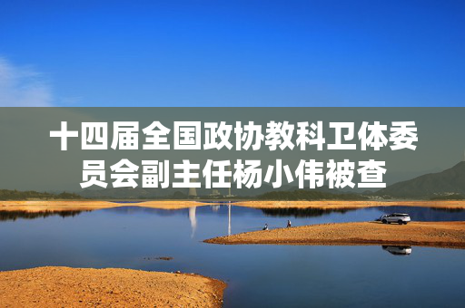 十四届全国政协教科卫体委员会副主任杨小伟被查