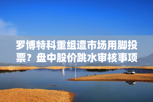 罗博特科重组遭市场用脚投票？盘中股价跳水审核事项即将再上会