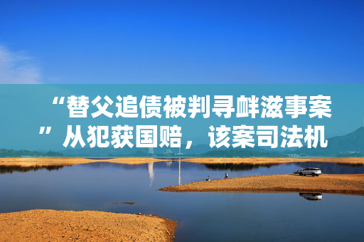 “替父追债被判寻衅滋事案”从犯获国赔，该案司法机关共赔偿217万元