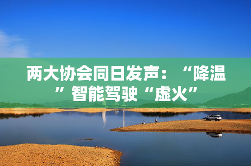 两大协会同日发声：“降温”智能驾驶“虚火”