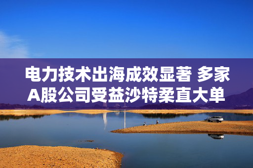 电力技术出海成效显著 多家A股公司受益沙特柔直大单