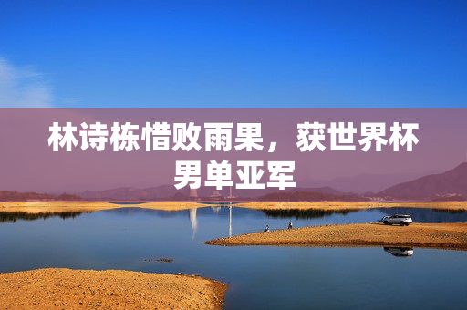 林诗栋惜败雨果，获世界杯男单亚军