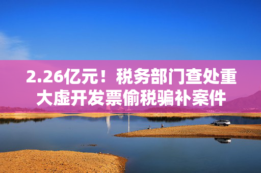 2.26亿元！税务部门查处重大虚开发票偷税骗补案件