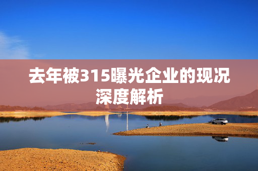 去年被315曝光企业的现况深度解析