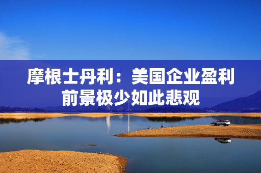 摩根士丹利：美国企业盈利前景极少如此悲观