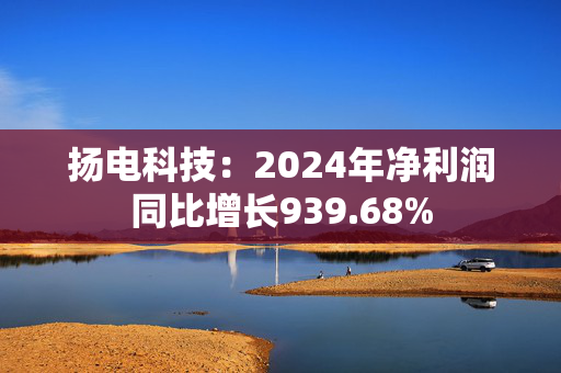 扬电科技：2024年净利润同比增长939.68%