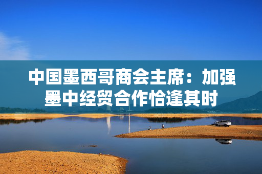 中国墨西哥商会主席：加强墨中经贸合作恰逢其时