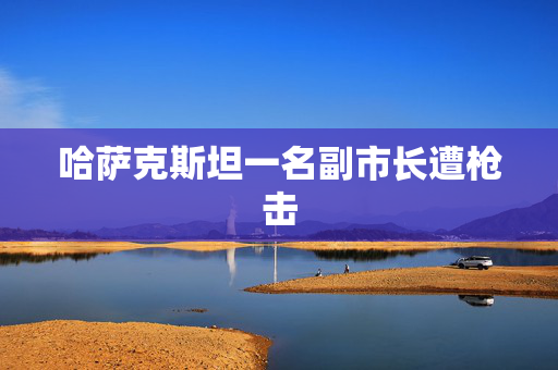 哈萨克斯坦一名副市长遭枪击